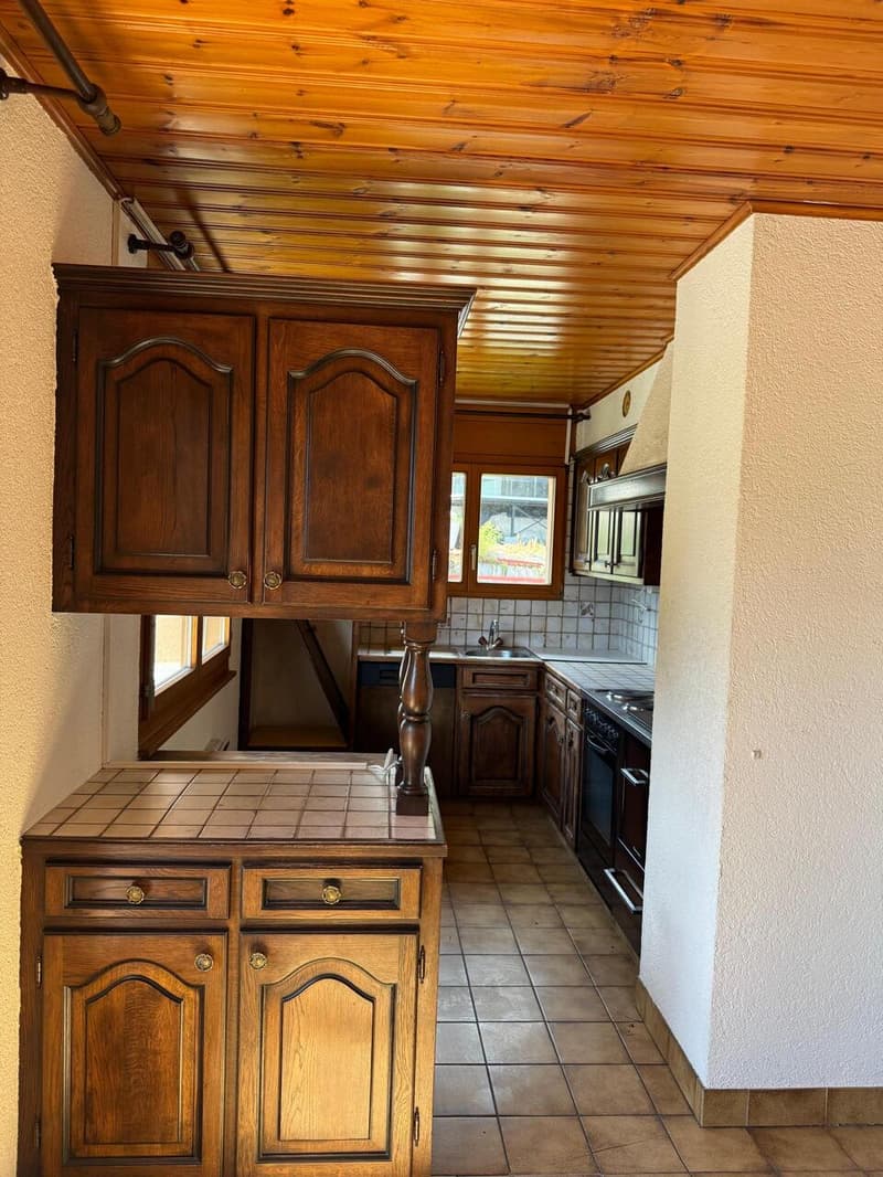 Appartement 4.5 pcs avec vue imprenable (7)