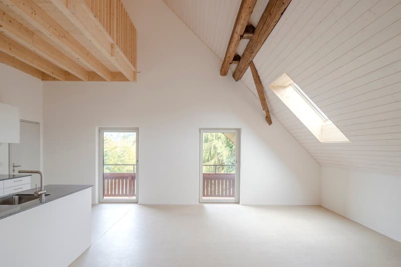 Traumhafte Maisonette-Dachwohnung mit Galerie und Balkon - 2 MONATE GRATIS WOHNEN! (4)