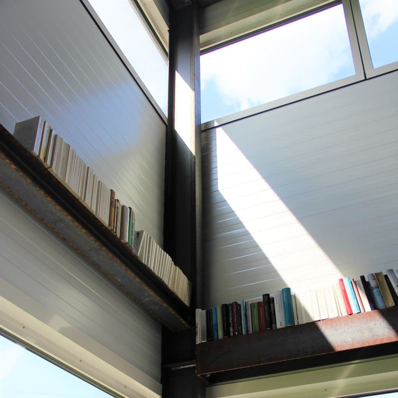 bookshelves on the wall, large windows, sunlight