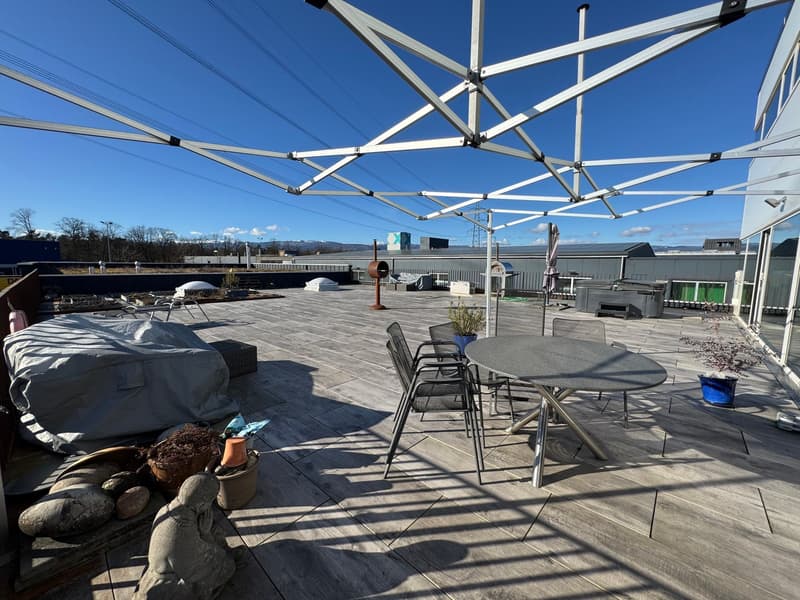 Wooden deck, table and chairs, covered area, plants, decorative items, metal structure