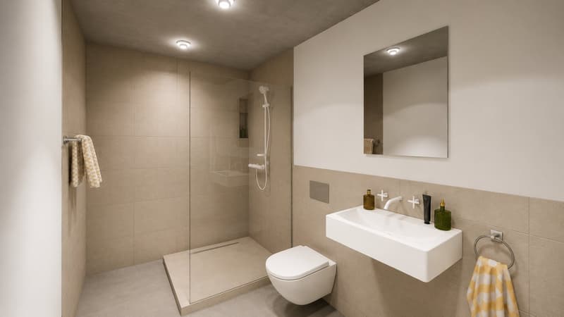 NEUBAU 2.5-Zimmer-Attikawohnungen mit grosser Terrasse in Biberist (4)
