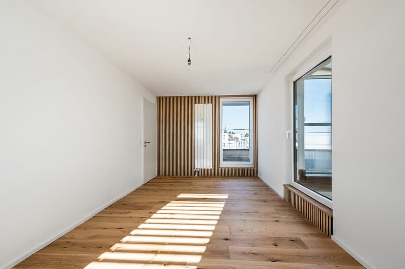 Renoviertes 3.5-Zi.-Penthouse mit XXL-Terrasse (kein Lift) (12)