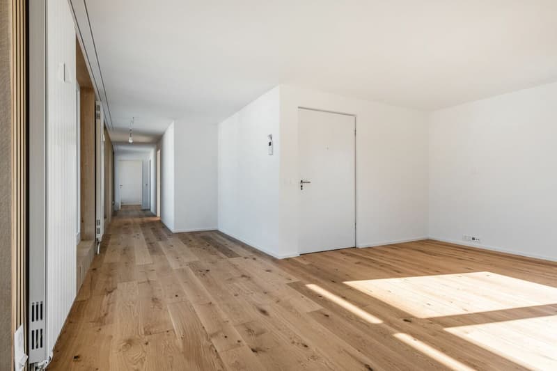 Renoviertes 3.5-Zi.-Penthouse mit XXL-Terrasse (kein Lift) (6)