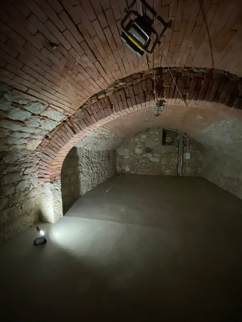 vaulted brick ceiling, stone walls, concrete floor, two lamps