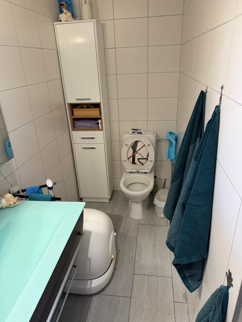 Zu vermieten in Cressier 4,5 Zimmer-Erdgeschosswohnung mit grosse Terrasse (6)