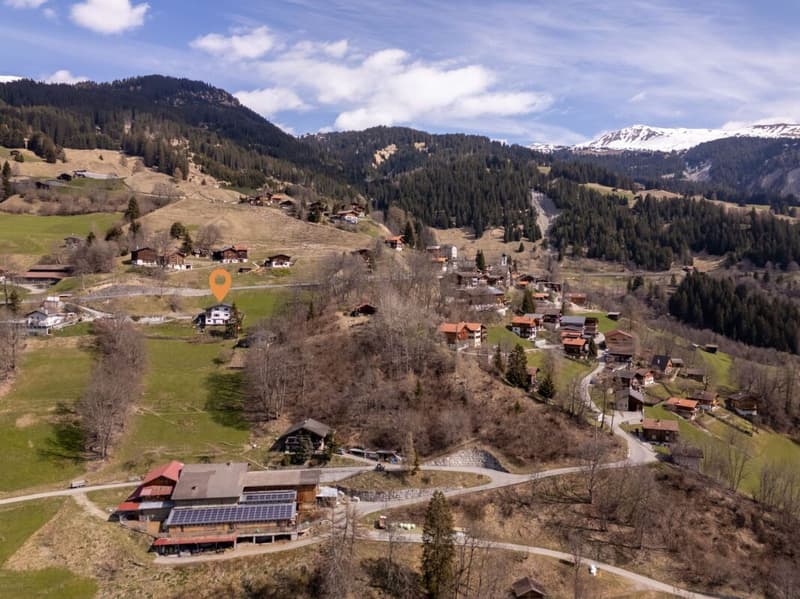 Vivere con vista panoramica. Appartamento di 4,5 locali ristrutturato di recente vicino ad Arosa (16)