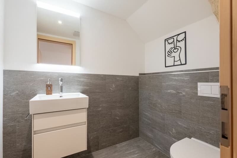 Vivere con vista panoramica. Appartamento di 4,5 locali ristrutturato di recente vicino ad Arosa (7)