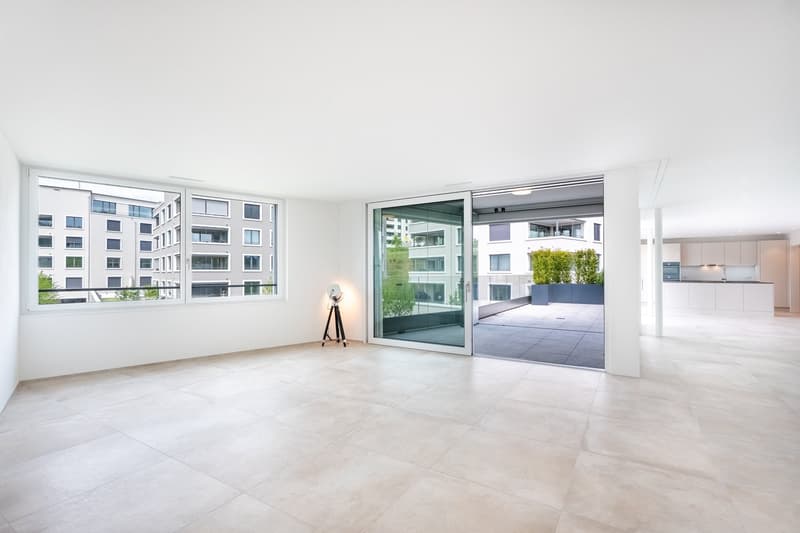 Penthouse first-time occupancy in Wil SG. Light, space and two terraces with city views (6)