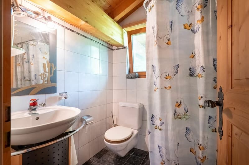 6.5-Zimmer-Einfamilienhaus mit vielseitigen Möglichkeiten (10)