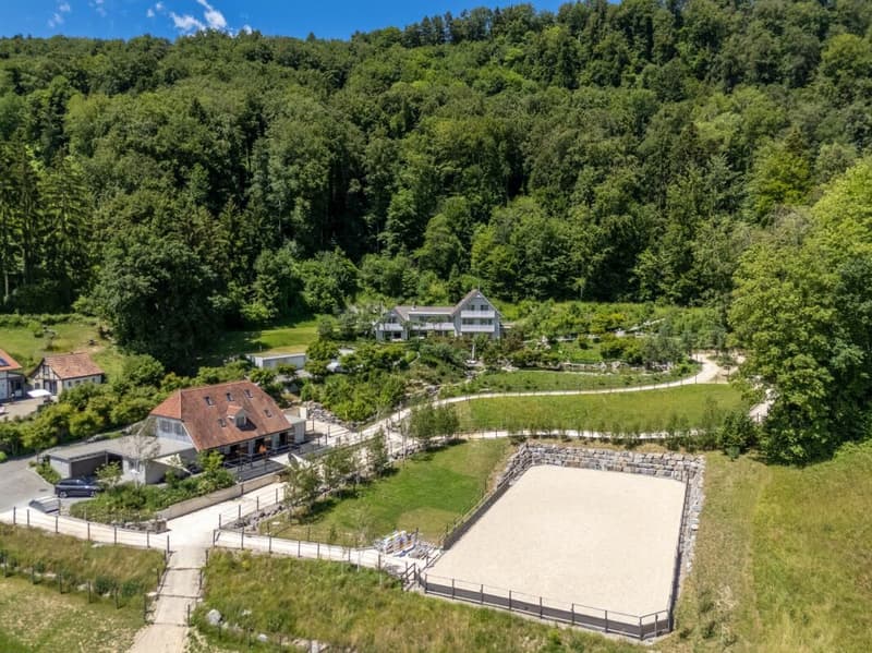 Einmaliges Reitsportanwesen in Oberramsern (2)