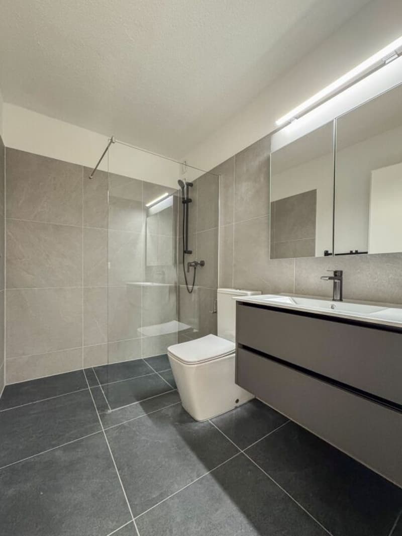 Nouveau confort de vie dans le vert - appartement de 4,5 pièces rénové avec vue lointaine (8)