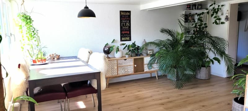 Heimelige und schöne 3.5Zi-Wohnung zu vermieten (4)