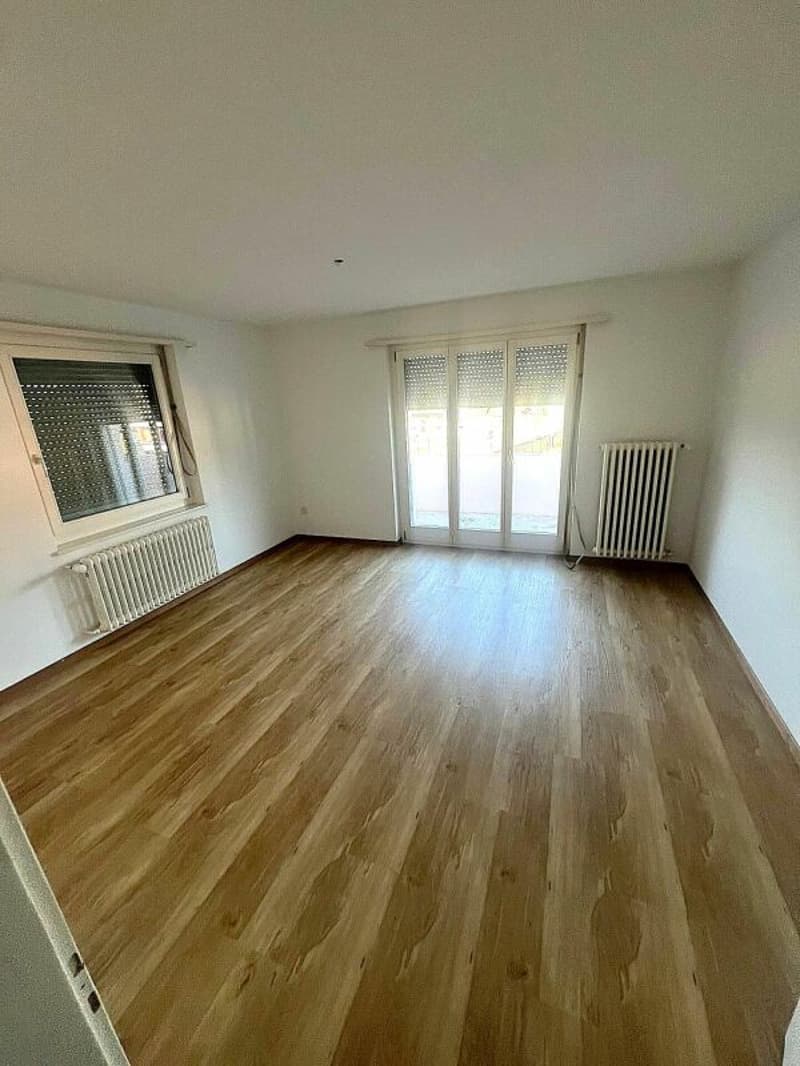 Appartamento di 3 stanze luminoso in affitto (3)