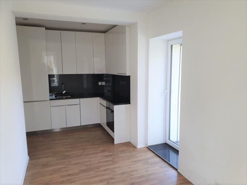 Appartement 2.5 pièces lumineux (2)