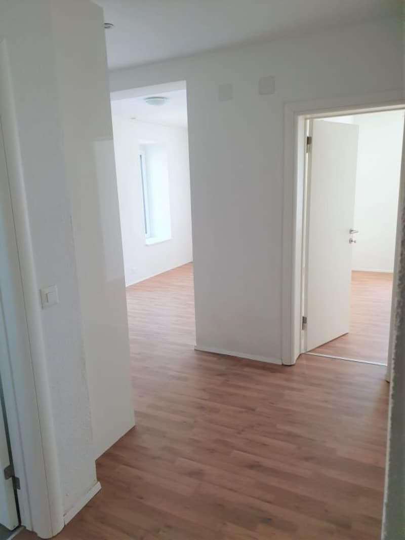 Appartement 2.5 pièces lumineux (6)