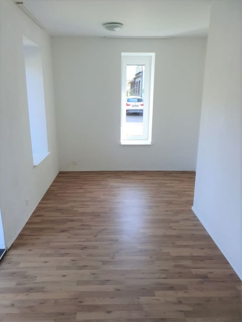Appartement 2.5 pièces lumineux (5)