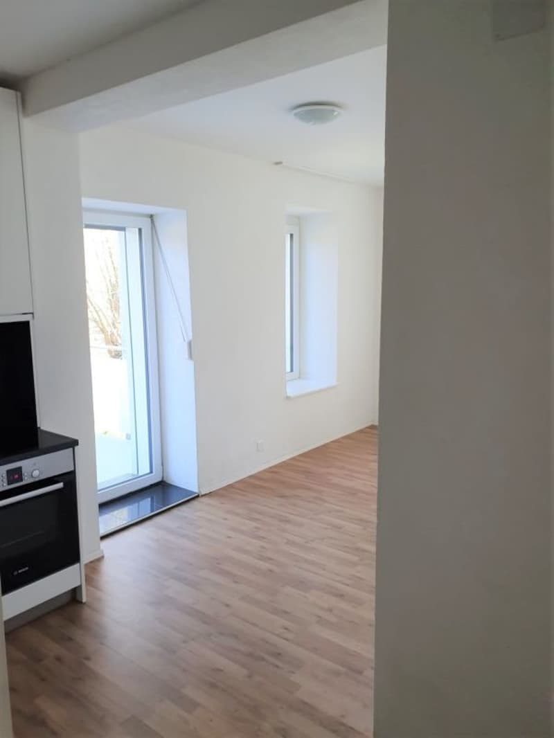 Appartement 2.5 pièces lumineux (3)