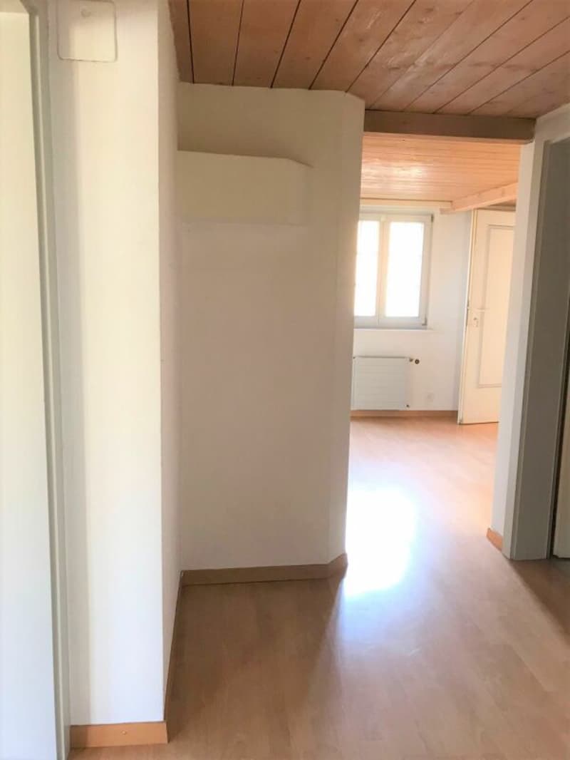 Cozy 2.5-room apartment with balcony (4)