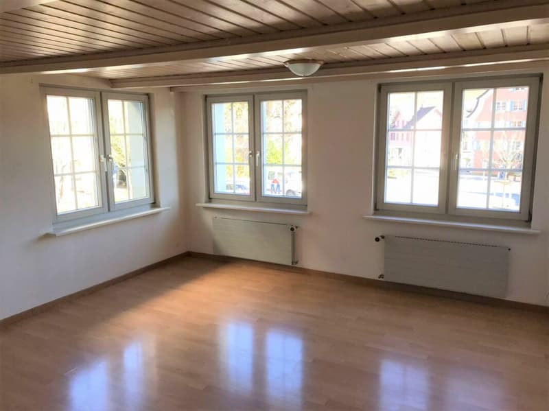 Cozy 2.5-room apartment with balcony (3)