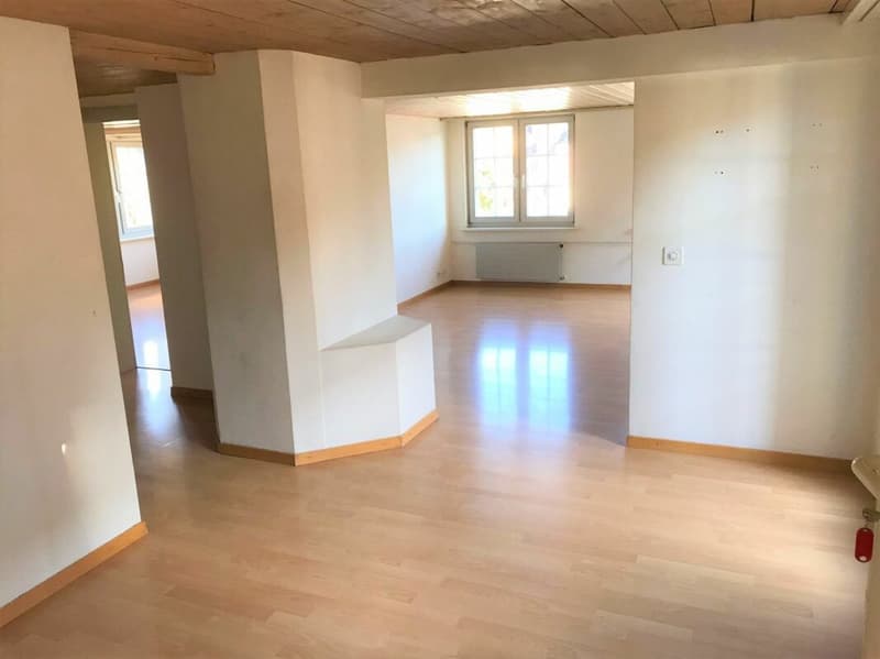 Cozy 2.5-room apartment with balcony (2)