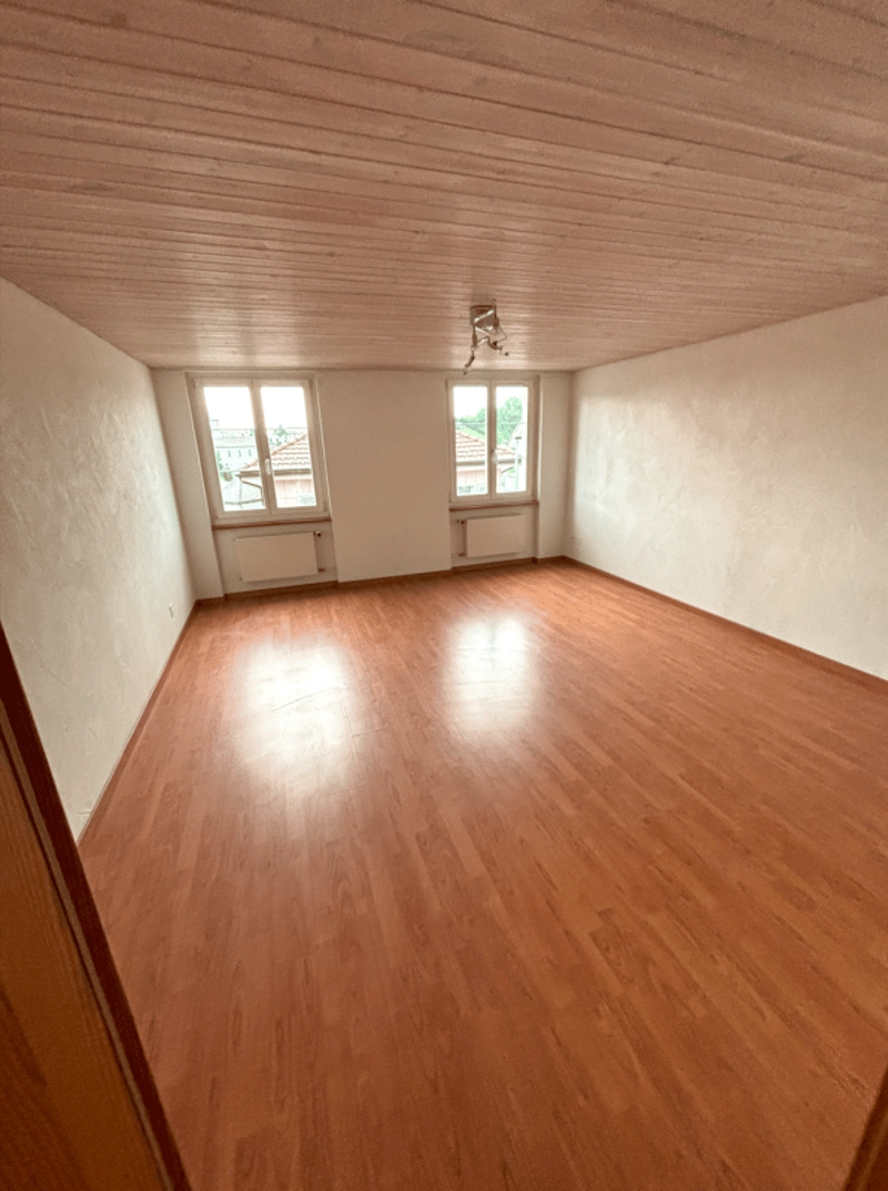 Appartement spacieux de 4,5 pièces (4)