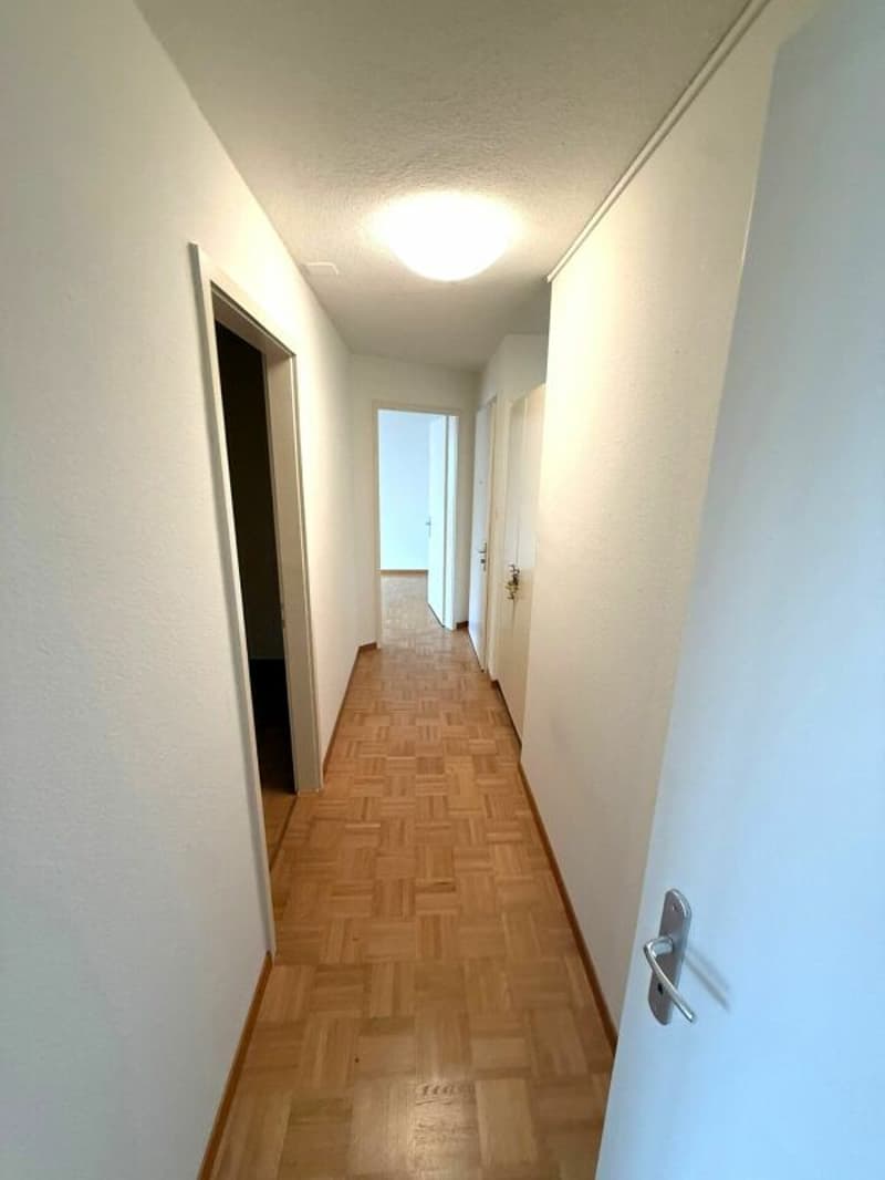 Bright 3.0 room apartment for rent (6)