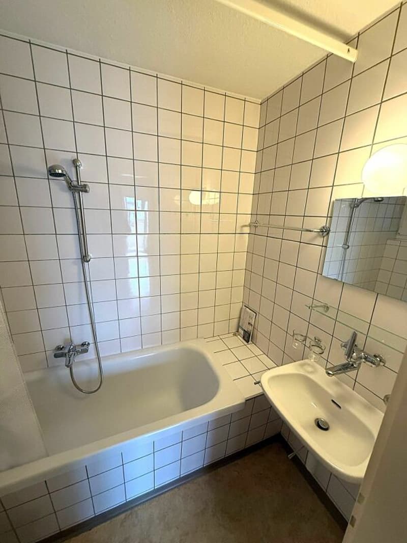 Bright 3.0 room apartment for rent (5)