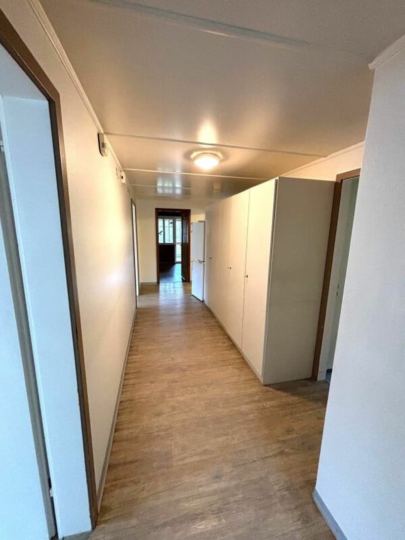 Helle 4.5-Zimmer Wohnung zu vermieten (2)