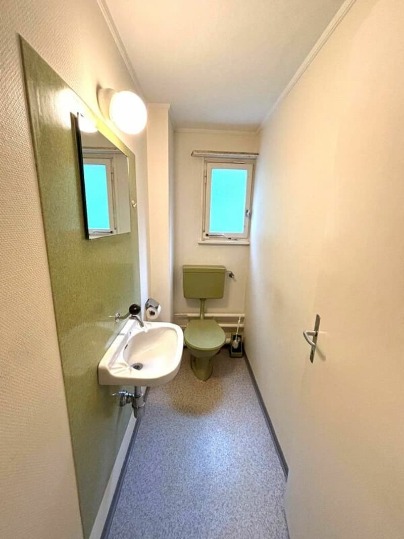 Helle 4.5-Zimmer Wohnung zu vermieten (3)