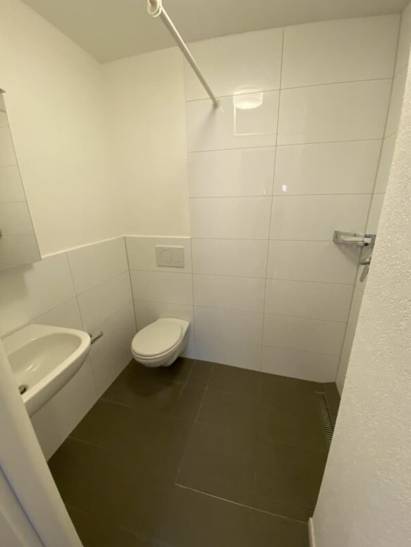 Geräumige 2.5 Zi Wohnung zu vermieten (3)