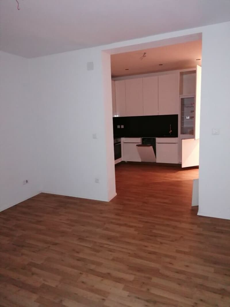 Geräumige 2.5 Zi Wohnung zu vermieten (1)