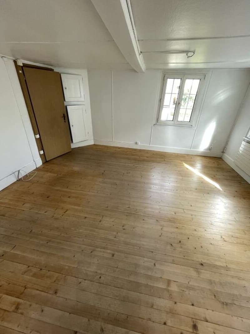 Idyllisches 6.5 Zimmer EFH exkl. Scheune (5)