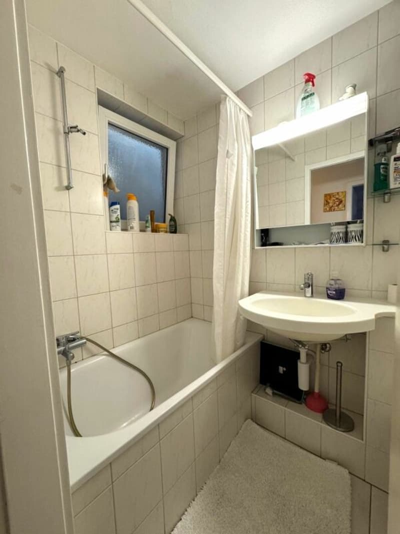 Helle 3.0 Zi-Wohnung zu vermieten (8)