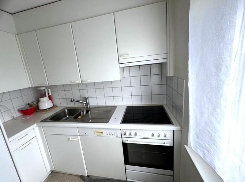 Helle 3.0 Zi-Wohnung zu vermieten (6)