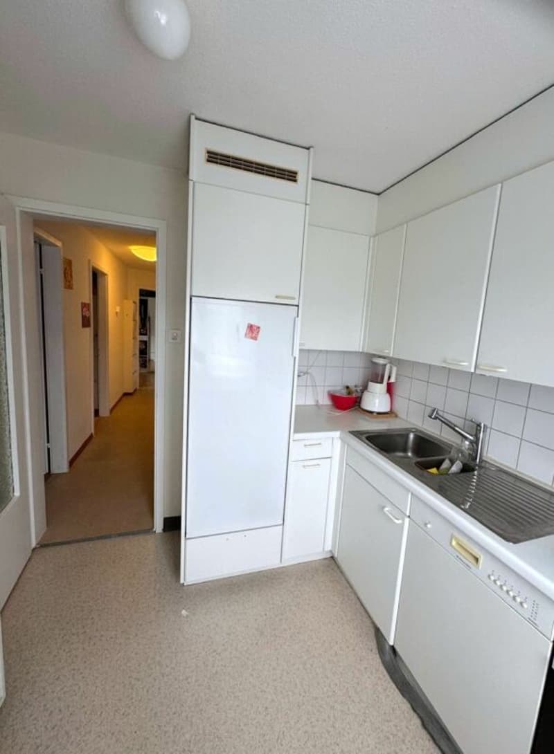 Helle 3.0 Zi-Wohnung zu vermieten (5)