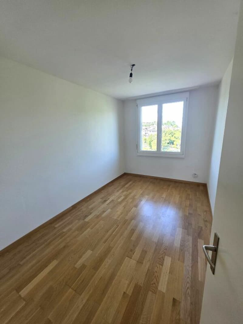 Appartement lumineux et spacieux de 5,5 pièces (5)