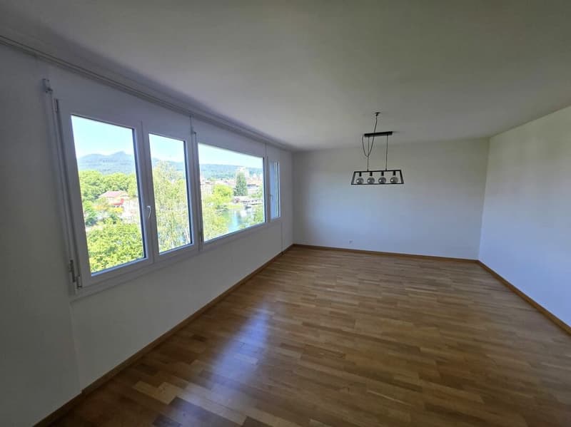 Appartement lumineux et spacieux de 5,5 pièces (2)