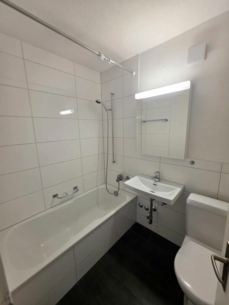 Appartement lumineux et spacieux de 5,5 pièces (9)