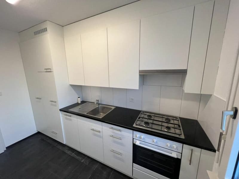 Appartement lumineux et spacieux de 4,5 pièces (6)
