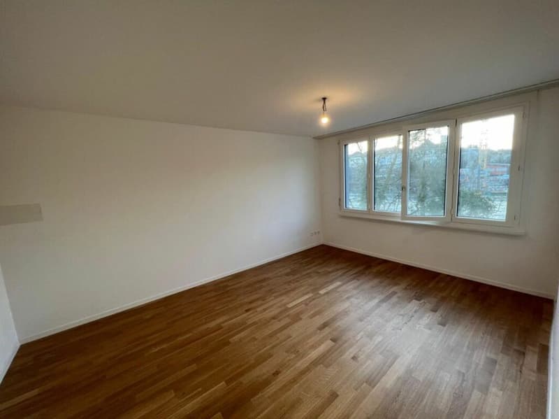 Appartement lumineux et spacieux de 4,5 pièces (4)