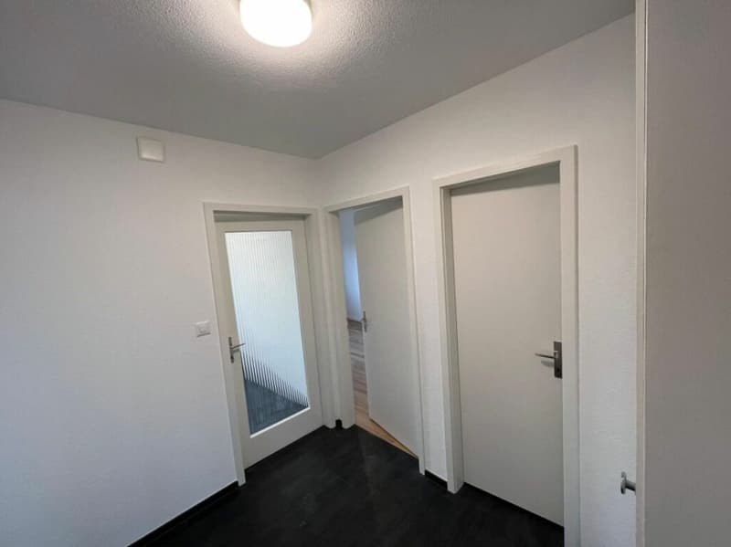 Appartement lumineux et spacieux de 4,5 pièces (5)