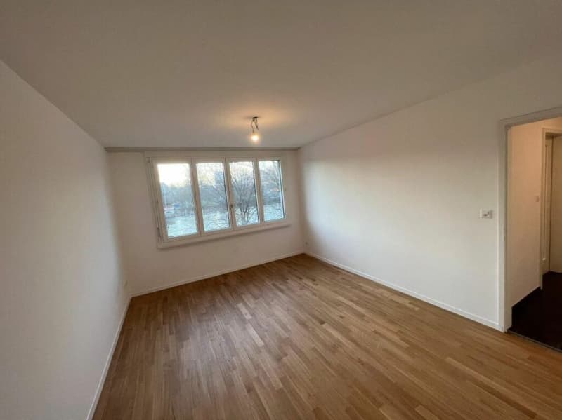 Appartement lumineux et spacieux de 4,5 pièces (3)