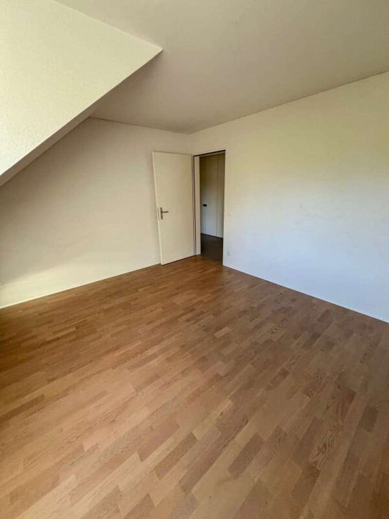 Vue sur l'Alpstein incluse - appartement mansardé moderne dans un excellent emplacement (7)