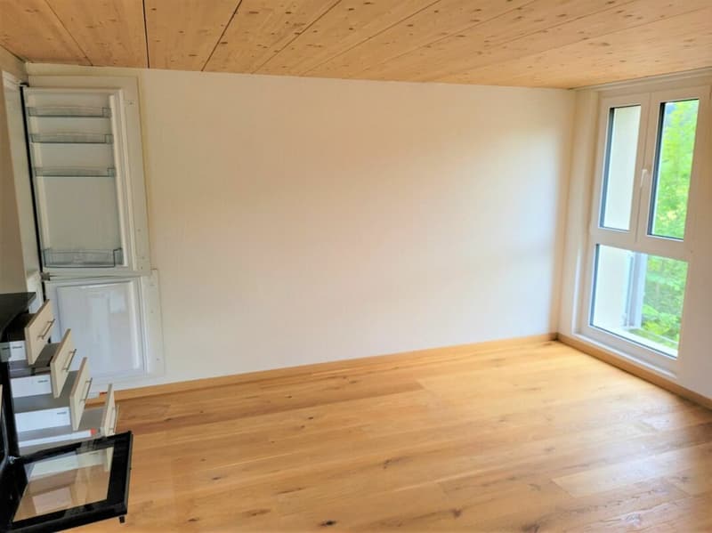 Geräumige 2.5 Zi-Wohnung mit Terrasse (2)