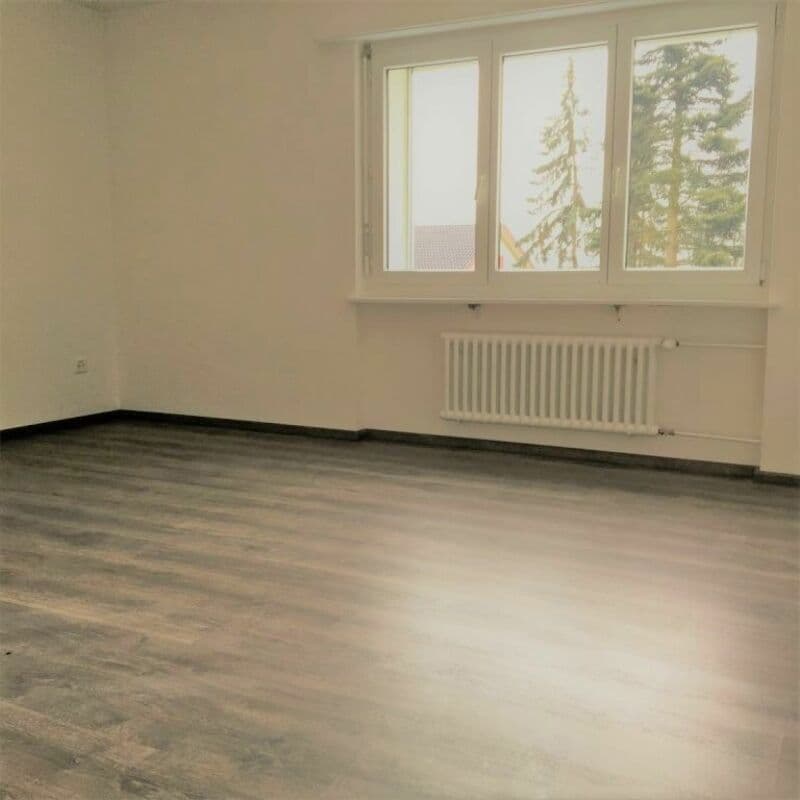 Geräumige und sonnige 4-Zi-Whg mit grossem Balkon (6)