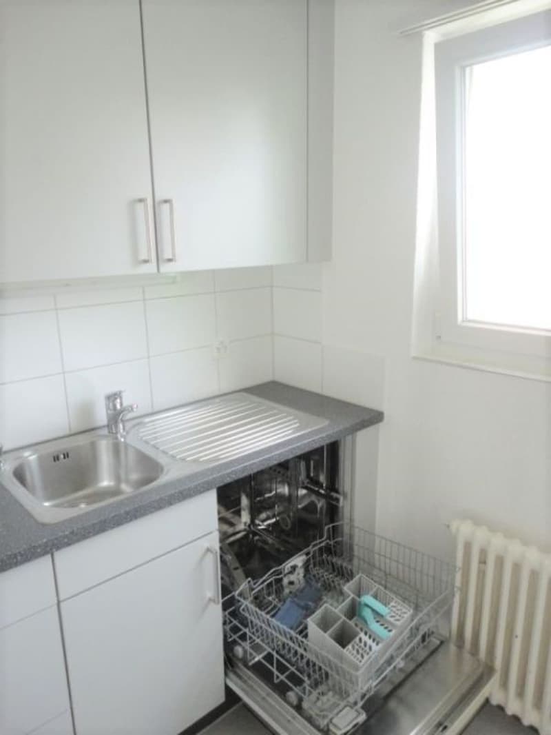 4-Zi. Wohnung, mit grossem Balkon (7)