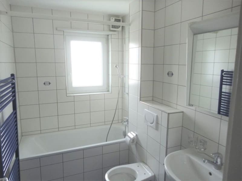 4-Zi. Wohnung, mit grossem Balkon (4)