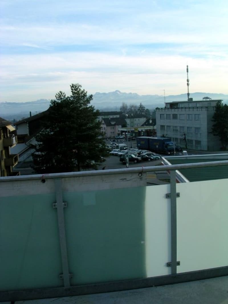 Helle 2.5-Zi-Dachwohnung mit grossem Balkon (11)