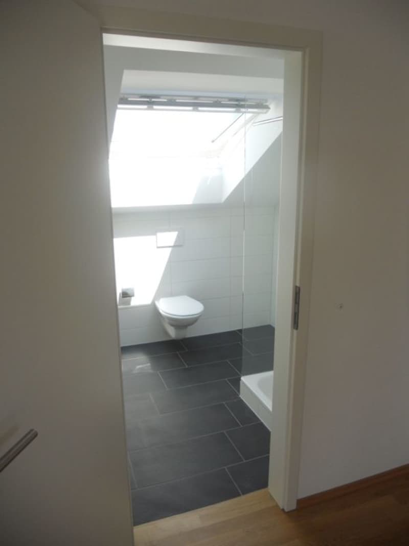 Helle 2.5-Zi-Dachwohnung mit grossem Balkon (5)