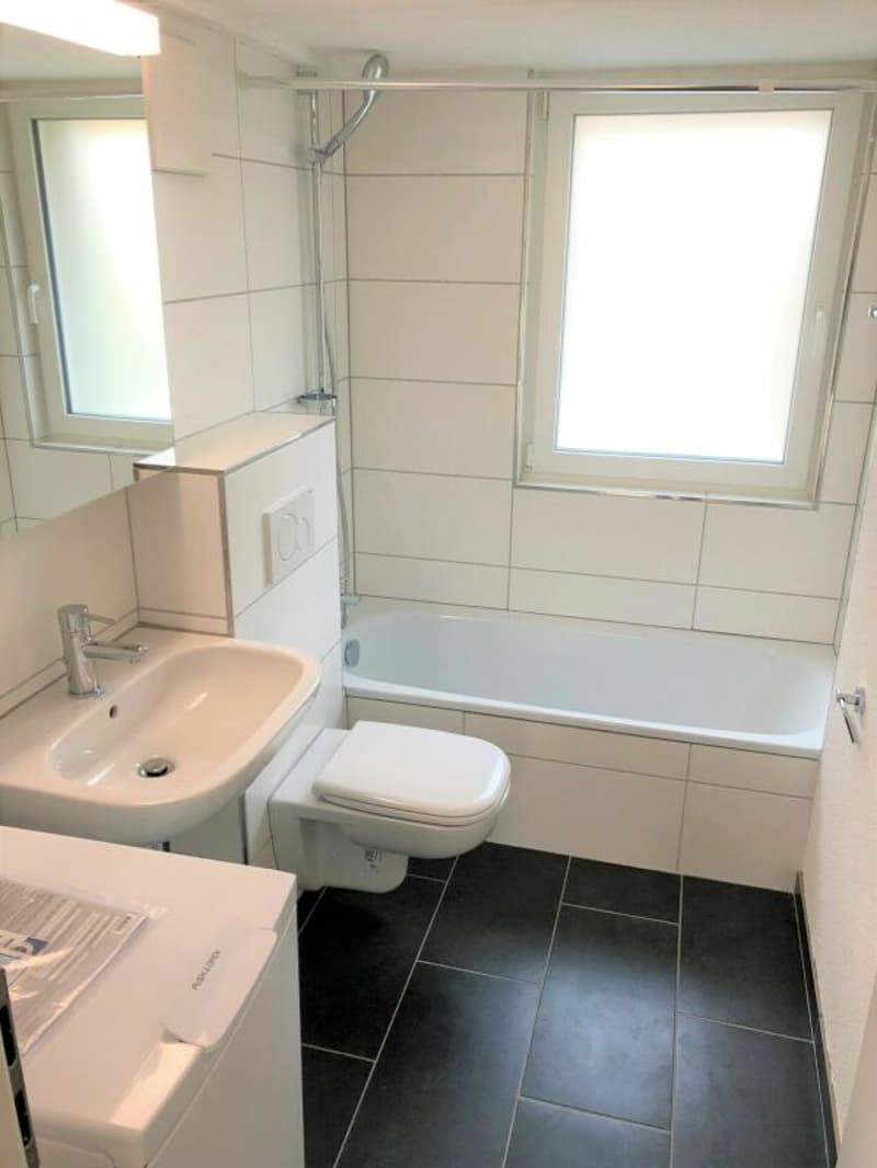 Heimelige und geräumige 2.5 Zi-Wohnung (6)